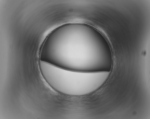 X0000112781480200908201402
