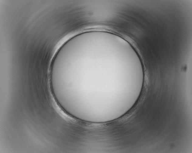 X0000112781482200908201402