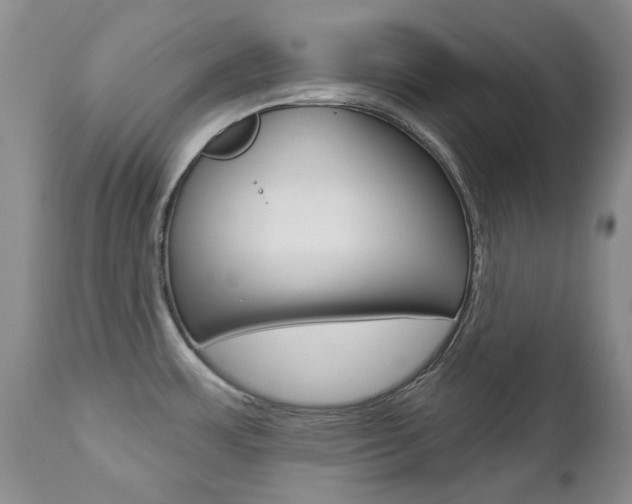 X0000112781483200908201402