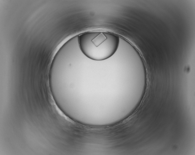 X0000112781484200908201402