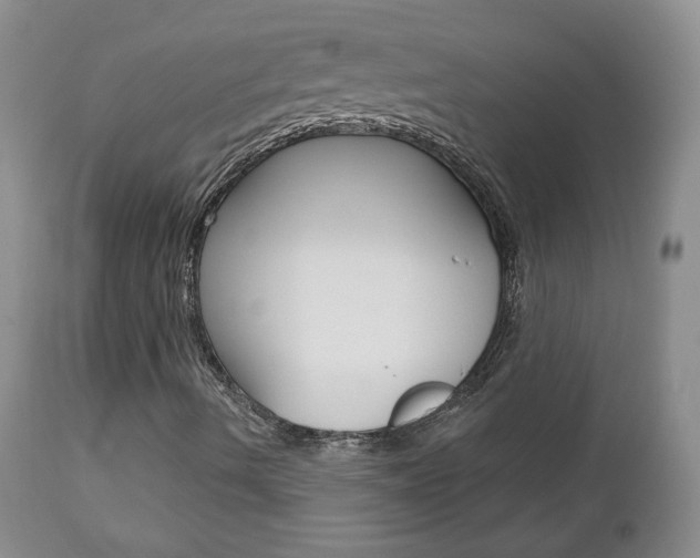 X0000112781490200908201401