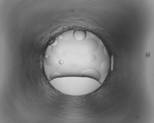 X0000112781491200908201401