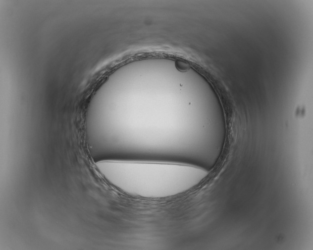 X0000112781494200908201401