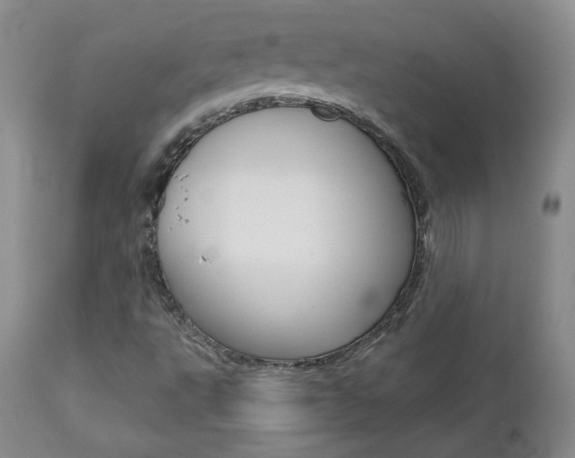 X0000112781495200908201401
