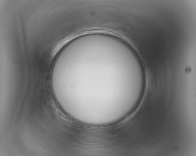 X0000112781501200908201401