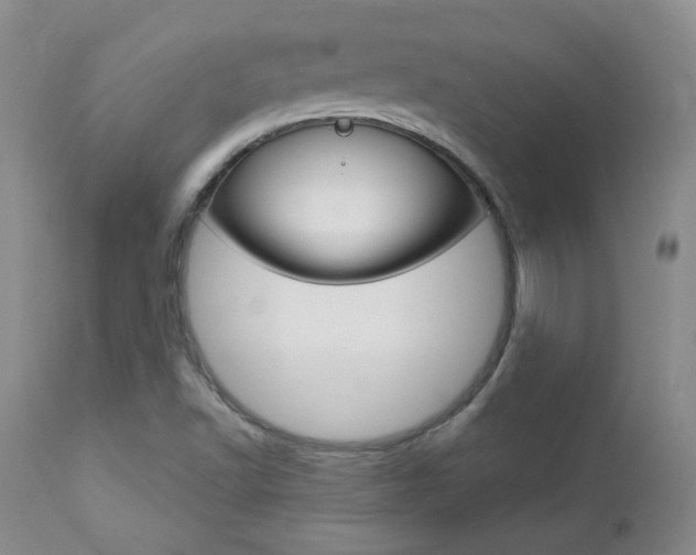 X0000112781502200908201401
