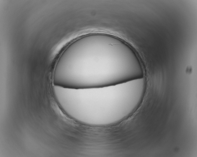 X0000112781503200908201401