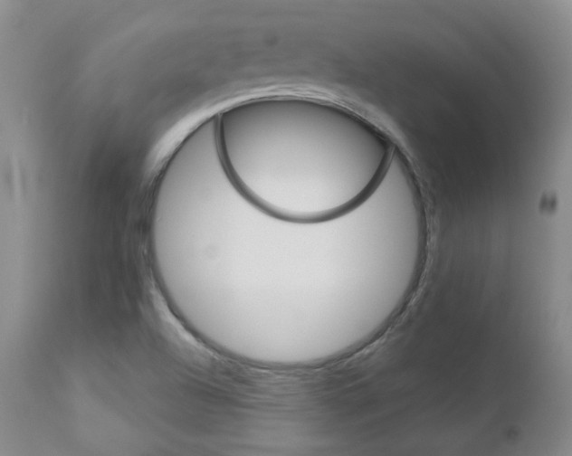 X0000112781504200908201402