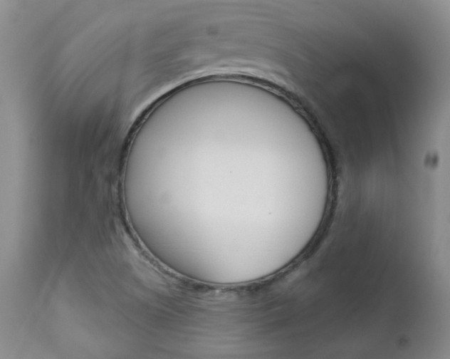 X0000112781505200908201402