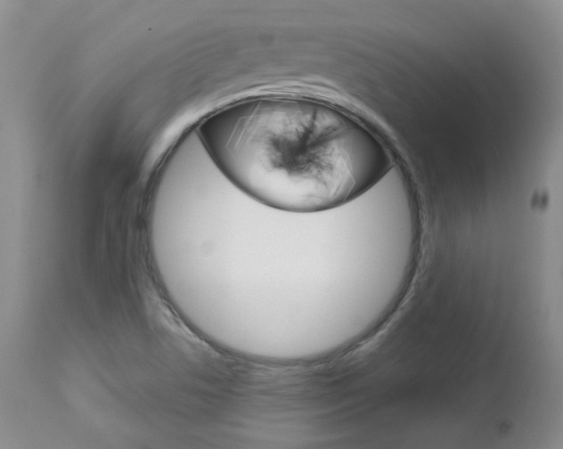 X0000112781506200908201402
