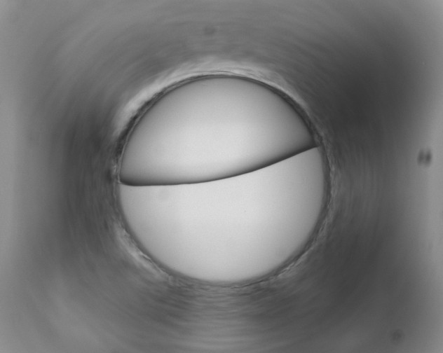 X0000112781507200908201402