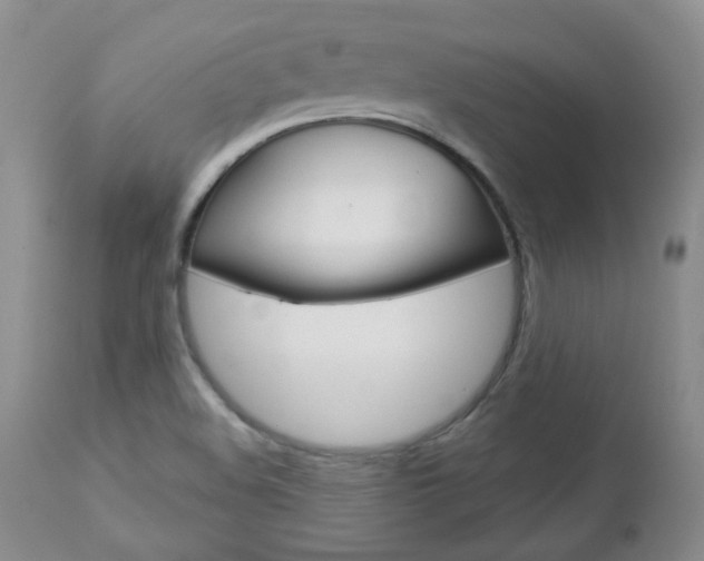 X0000112781508200908201402