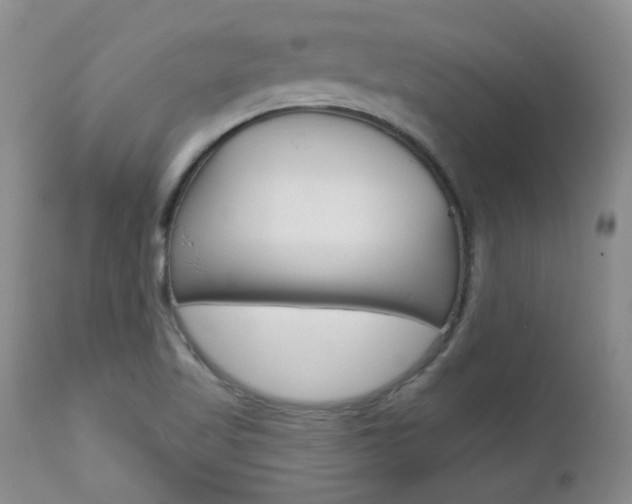 X0000112781509200908201402