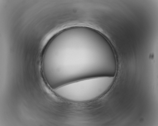X0000112781511200908201402