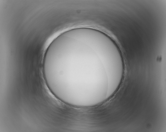X0000112781512200908201402