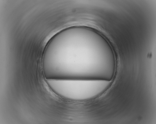 X0000112781513200908201402