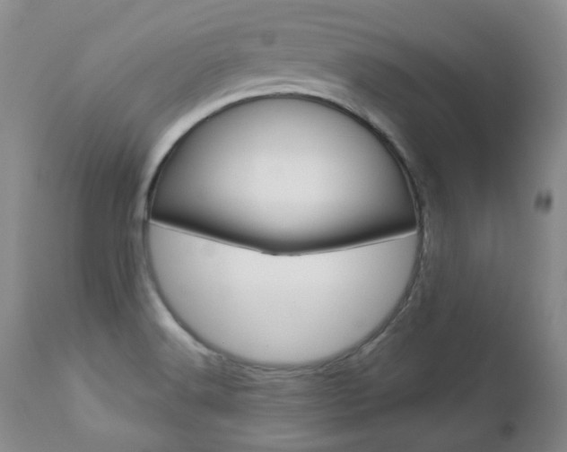 X0000112781516200908201402