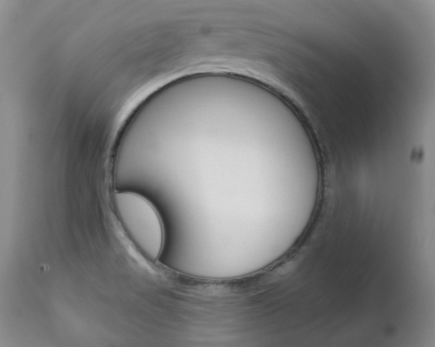 X0000112781517200908201402