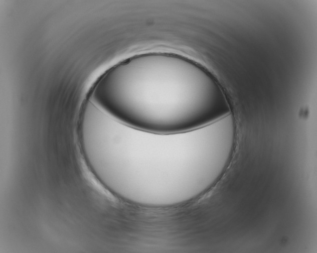 X0000112781518200908201402