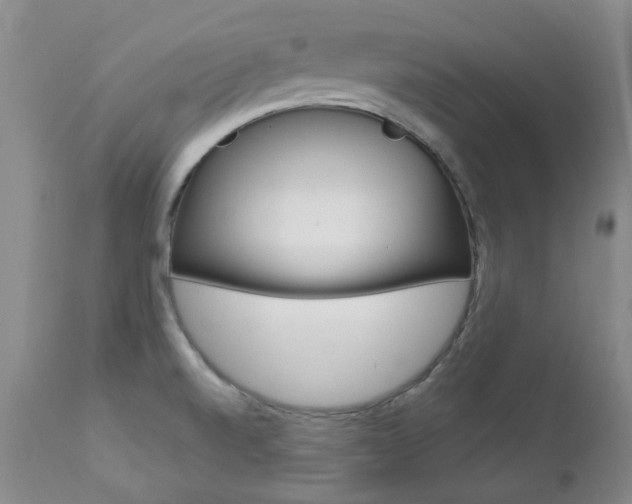 X0000112781520200908201402