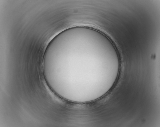 X0000112781521200908201402
