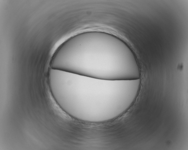 X0000112781522200908201402