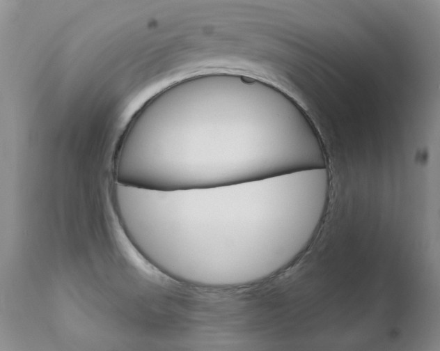 X0000112781523200908201402