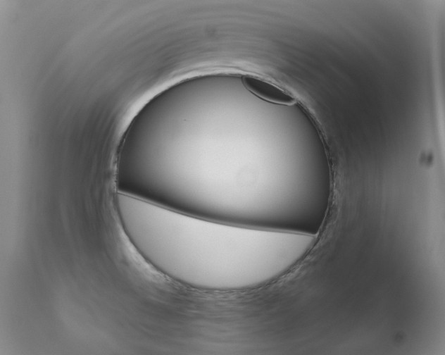 X0000112781524200908201402