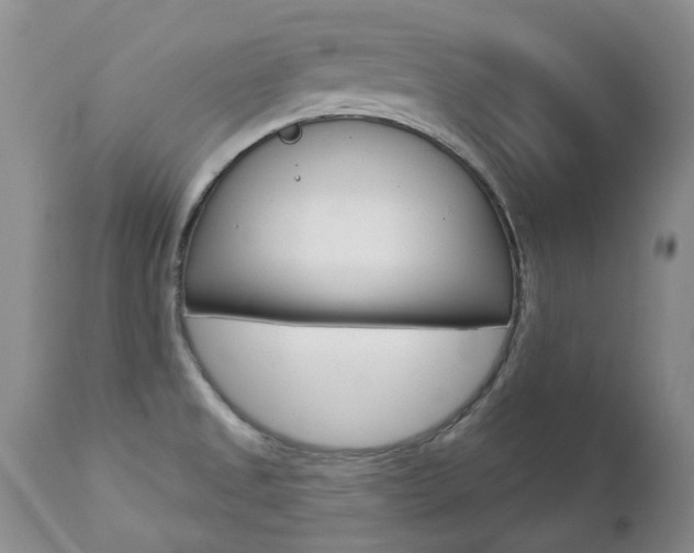 X0000112781525200908201402