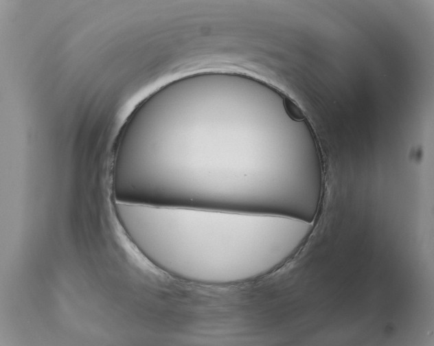 X0000112781526200908201402