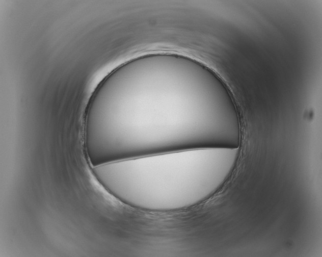 X0000112781527200908201402