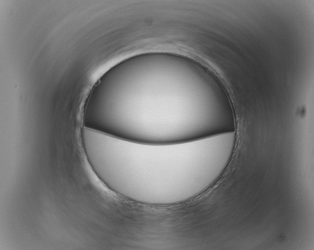 X0000112781528200908201402