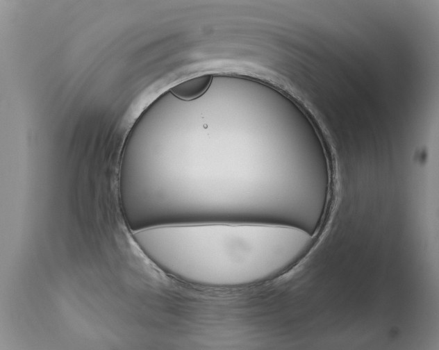 X0000112781529200908201402