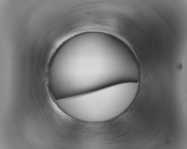 X0000112781531200908201402