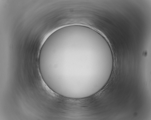 X0000112781532200908201402