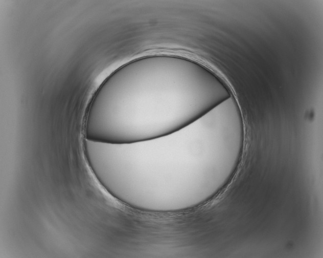 X0000112781533200908201402