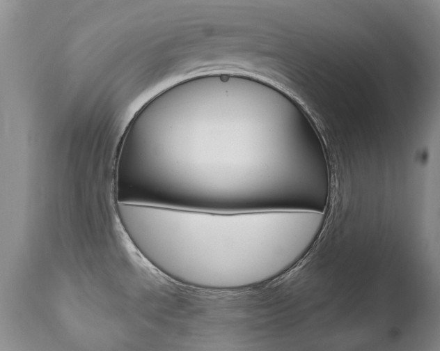 X0000112781534200908201402