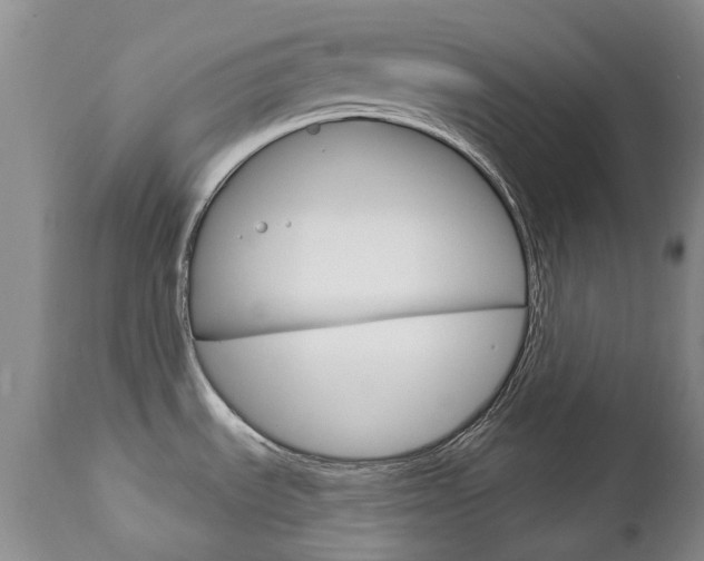 X0000112781535200908201402