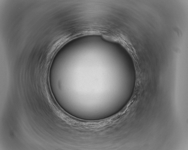 X0000112780001200908201538