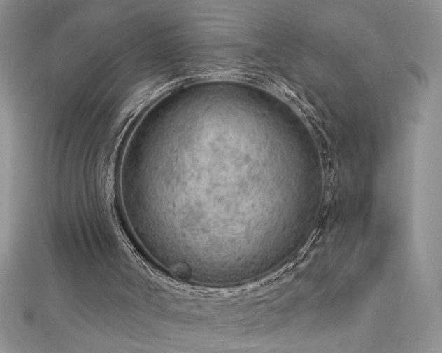 X0000112780002200908201538