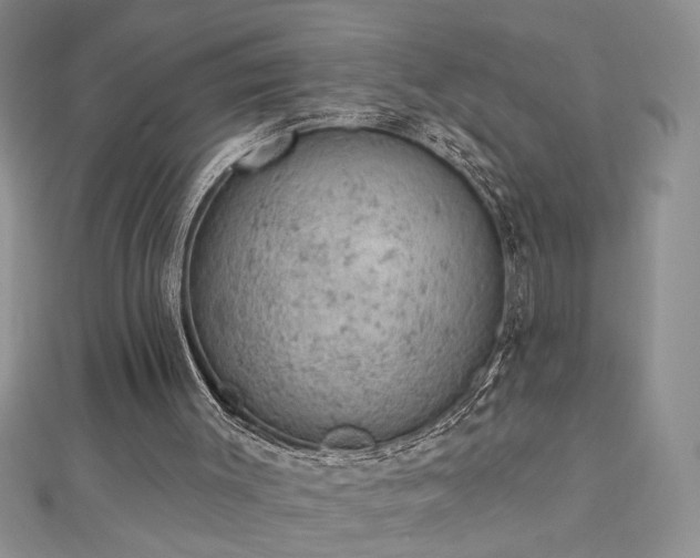 X0000112780003200908201538