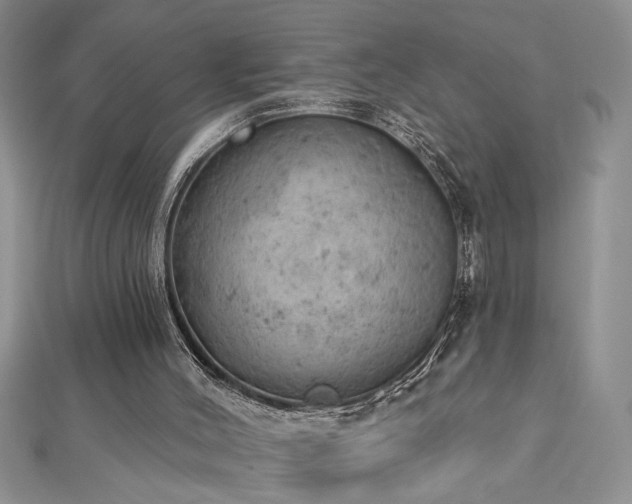 X0000112780004200908201538