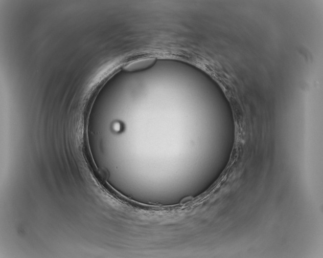 X0000112780005200908201538