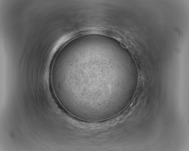 X0000112780006200908201538