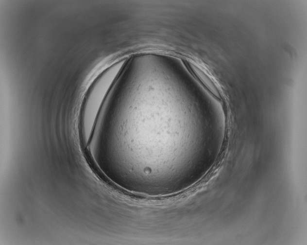 X0000112780007200908201538