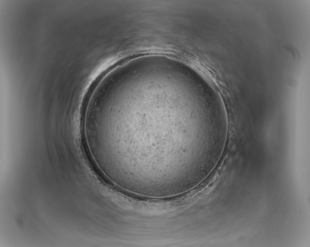 X0000112780008200908201538