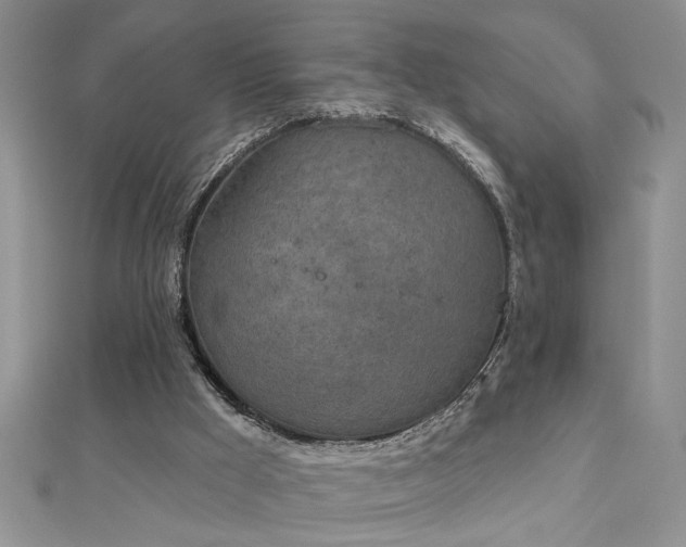 X0000112780009200908201538