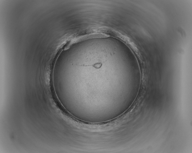 X0000112780010200908201538