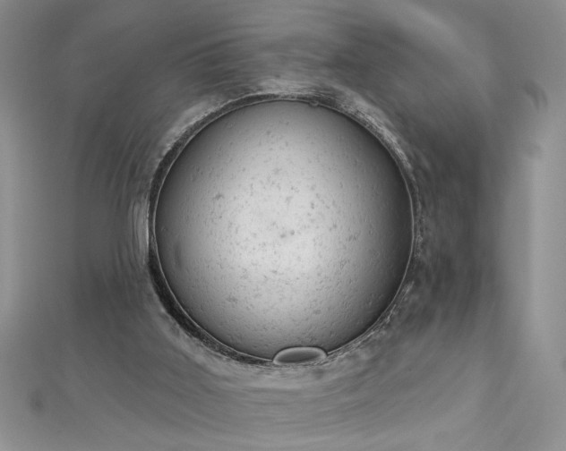 X0000112780011200908201538