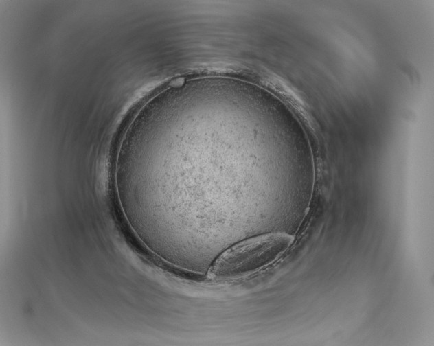 X0000112780012200908201538